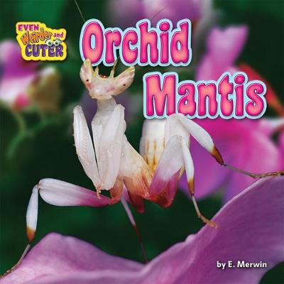 Book cover for Orchid Mantis