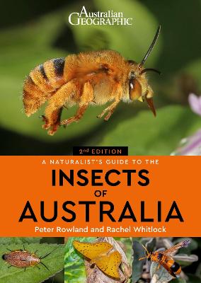 Book cover for A Naturalist's Guide to the Insects of Australia