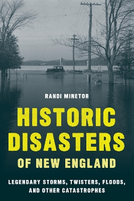 Book cover for Historic Disasters of New England