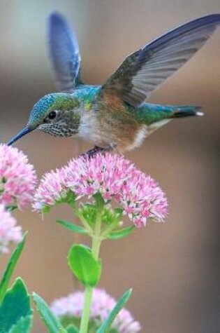 Cover of Beautiful Blue Green Hummingbird on Pink Flowers