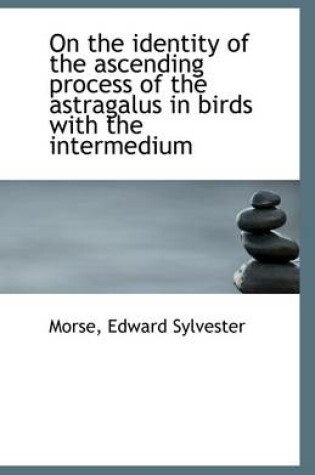 Cover of On the Identity of the Ascending Process of the Astragalus in Birds with the Intermedium