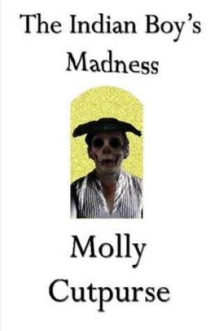 Cover of The Indian Boy's Madness