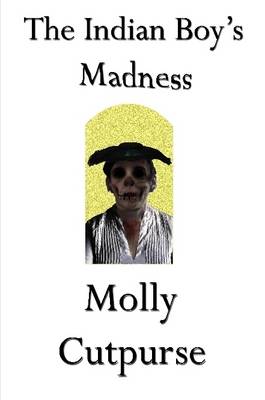 Book cover for The Indian Boy's Madness