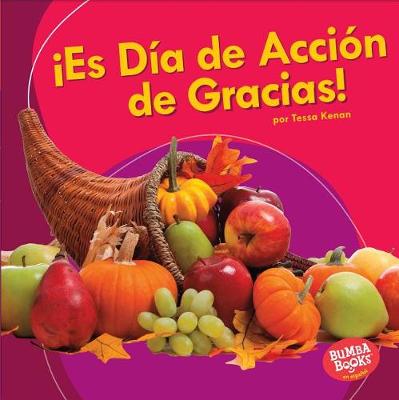 Book cover for ¡Es Día de Acción de Gracias! (It's Thanksgiving!)