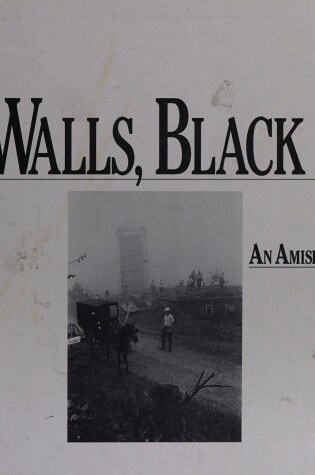 Cover of Red Walls, Black Hats