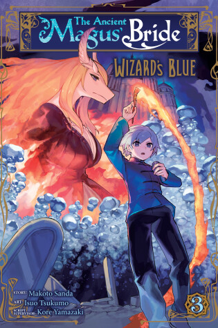 Cover of The Ancient Magus' Bride: Wizard's Blue Vol. 3