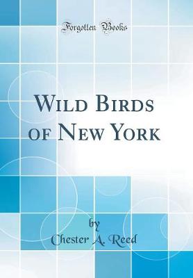 Book cover for Wild Birds of New York (Classic Reprint)