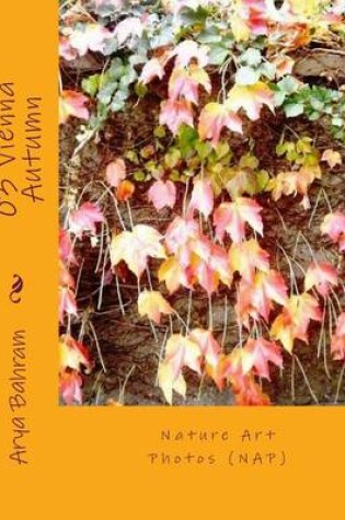 Cover of Vienna Autumn