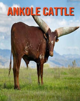 Book cover for Ankole Cattle