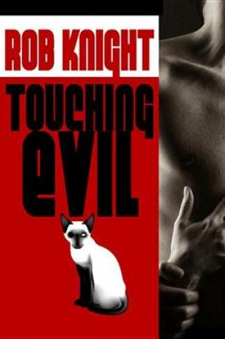 Cover of Touching Evil