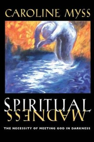 Cover of Spiritual Madness