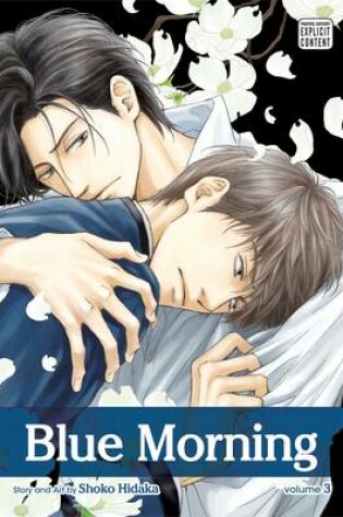 Cover of Blue Morning, Vol. 3