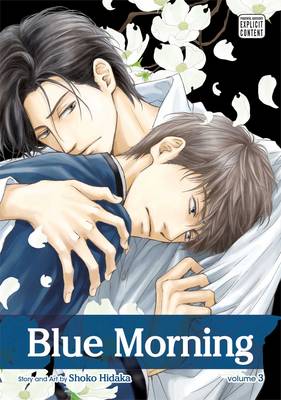 Cover of Blue Morning, Vol. 3