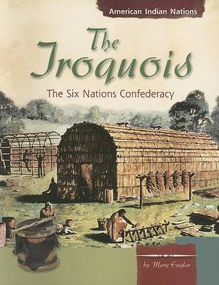 Book cover for The Iroquois