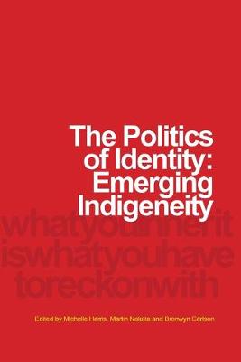 Book cover for The Politics of Identity