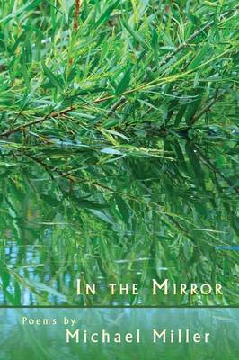 Book cover for In the Mirror