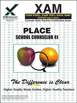 Book cover for Place 41 School Counselor