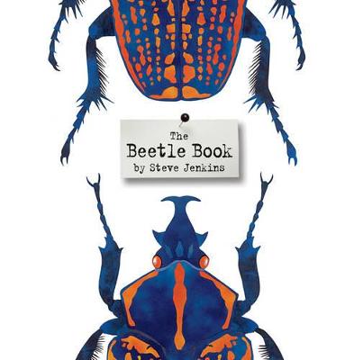 Book cover for The Beetle Book