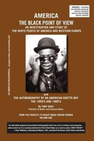 Cover of America the Black Point of View - An Investigation and Study of the White People of America and Western Europe and the Autobiography of an American Gh