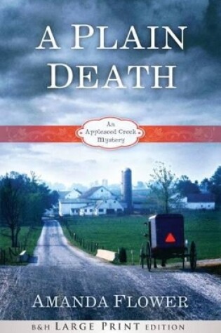 Cover of A Plain Death (Large Print Printed Hardcover)
