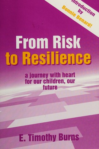 Cover of From Risk to Resilience