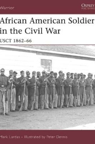 Cover of African American Soldier in the Civil War