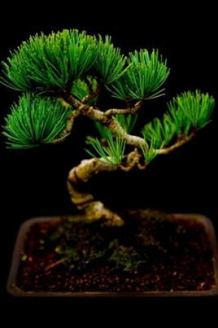 Cover of Miniature Japanese Bonsai Tree, for the Love of Nature