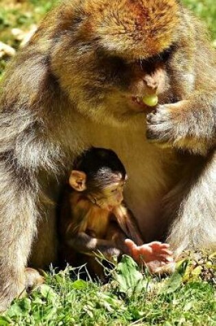 Cover of A Cute Barbary Macaque Mom and Baby Eating Grapes Journal