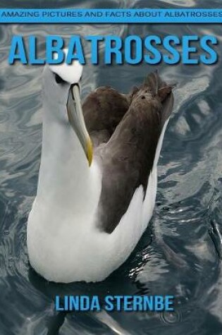 Cover of Albatrosses