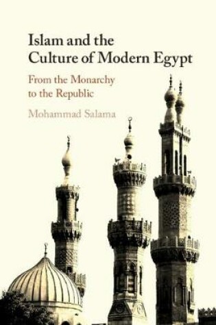 Cover of Islam and the Culture of Modern Egypt