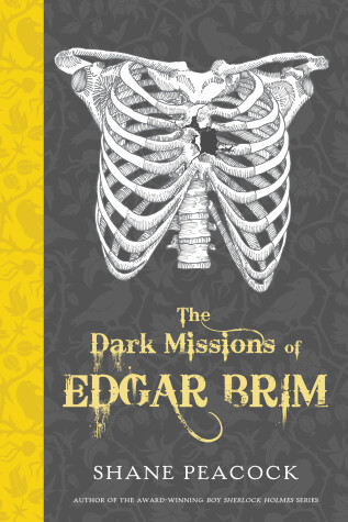 Cover of The Dark Missions of Edgar Brim