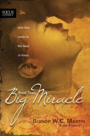 Cover of Small Town, Big Miracle