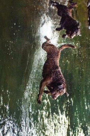 Cover of Chesapeake Bay Retriever Dogs Playing Journal