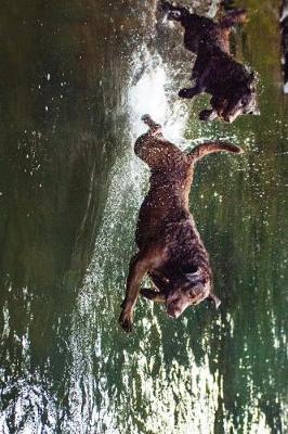 Book cover for Chesapeake Bay Retriever Dogs Playing Journal