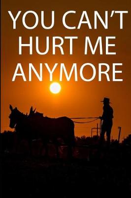 Book cover for You Can't Hurt Me Anymore
