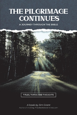 Book cover for The Pilgrimage Continues