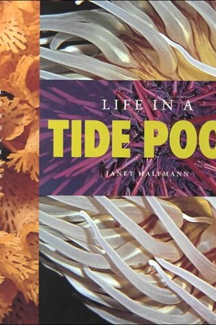 Cover of Life in a Tide Pool