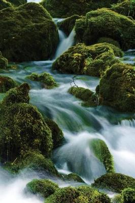 Cover of Moss Waterfall Journal