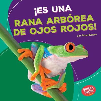 Cover of ¡es Una Rana Arbórea de Ojos Rojos! (It's a Red-Eyed Tree Frog!)