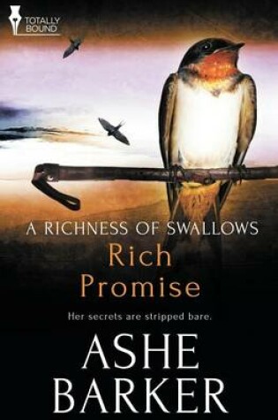Cover of A Richness of Swallows