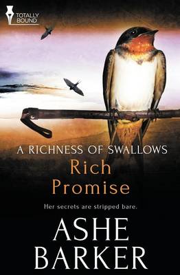 Book cover for A Richness of Swallows