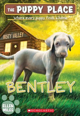 Book cover for Bentley