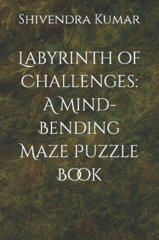 Cover of Labyrinth of Challenges