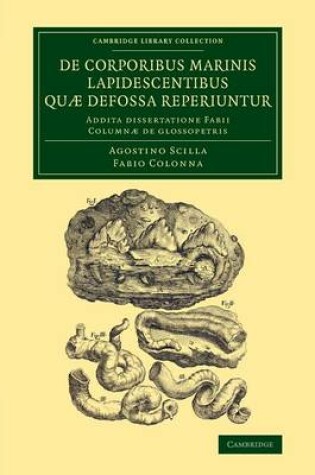 Cover of De corporibus marinis lapidescentibus quæ defossa reperiuntur