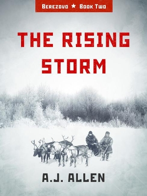 Book cover for The Rising Storm