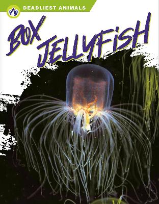 Book cover for Box Jellyfish