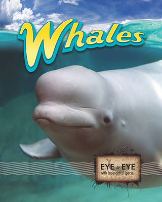 Cover of Whales