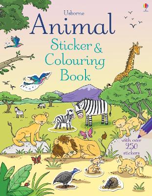 Book cover for Animal Sticker and Colouring Book