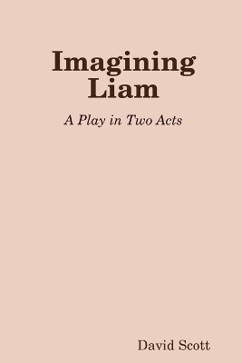 Book cover for Imagining Liam