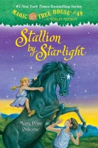 Cover of Magic Tree House #49